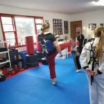 Twin Dragons Taekwondo II