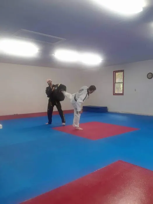 Twin Dragons Taekwondo II Picture 7