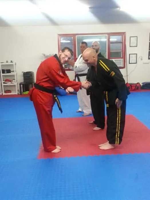 Twin Dragons Taekwondo II Picture 4