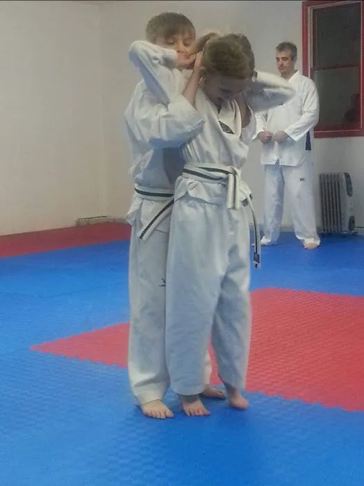 Twin Dragons Taekwondo II Picture 5
