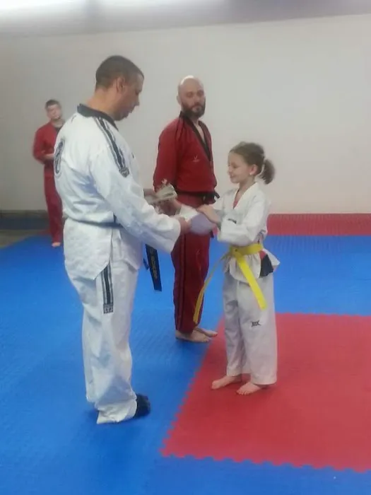 Twin Dragons Taekwondo II Picture 3