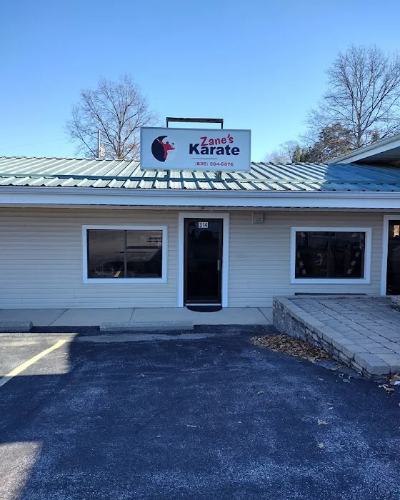 Zane's Karate & More, LLC Picture 1