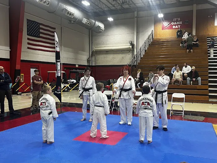 ATA Martial Arts Picture 3