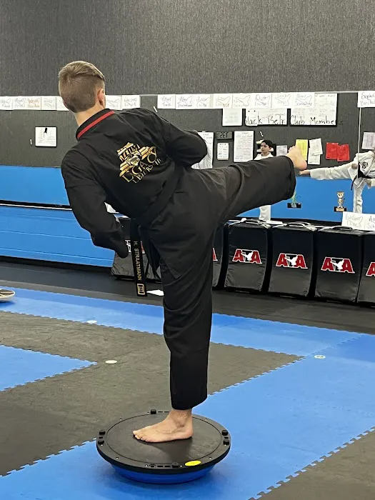ATA Martial Arts Picture 2