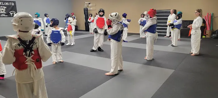 Outerlimits Martial Arts Picture 2