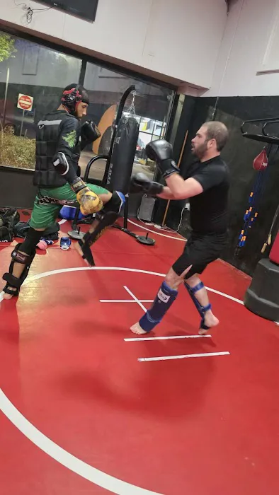 Flawless Mixed Martial Arts Academy Picture 6