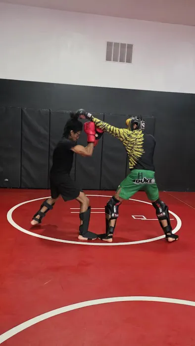 Flawless Mixed Martial Arts Academy Picture 1