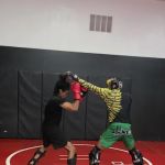 Flawless Mixed Martial Arts Academy