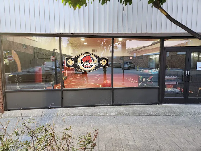 Flawless Mixed Martial Arts Academy Picture 3