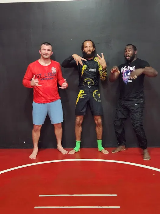 Flawless Mixed Martial Arts Academy Picture 8