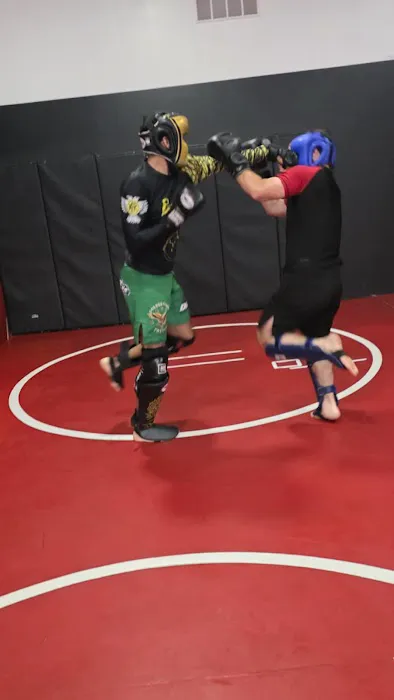 Flawless Mixed Martial Arts Academy Picture 10