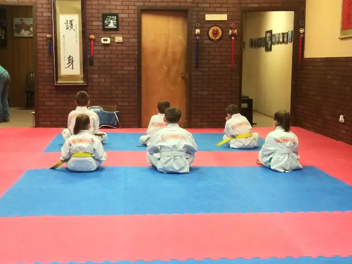Longshores Tae Kwon Do And Martial Arts Academy Picture 4