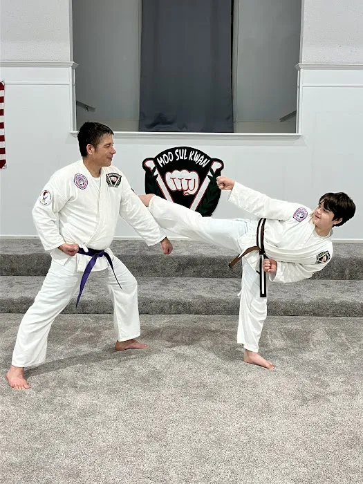 Missouri Taekwondo Institute Picture 3