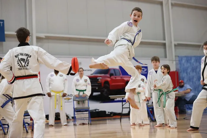 Missouri Taekwondo Institute Picture 1