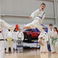 Missouri Taekwondo Institute ico