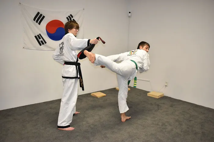 Missouri Taekwondo Institute Picture 2