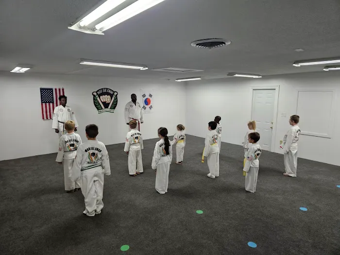 Missouri Taekwondo Institute Picture 5