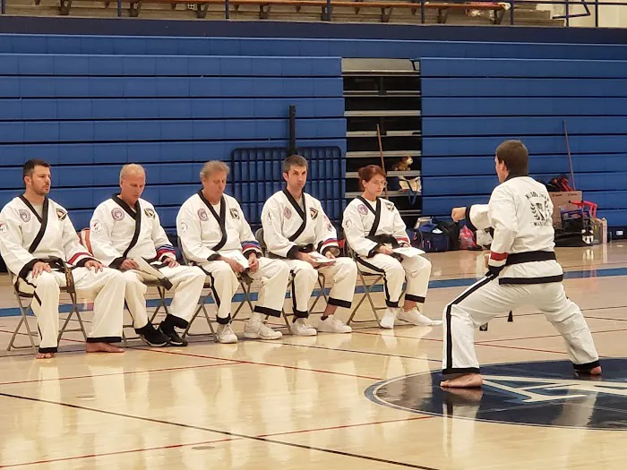 Missouri Taekwondo Institute Picture 8