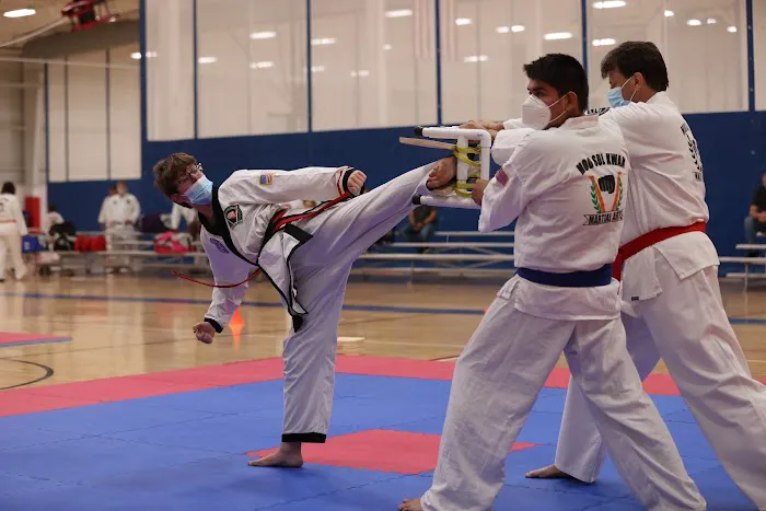 Missouri Taekwondo Institute Picture 4