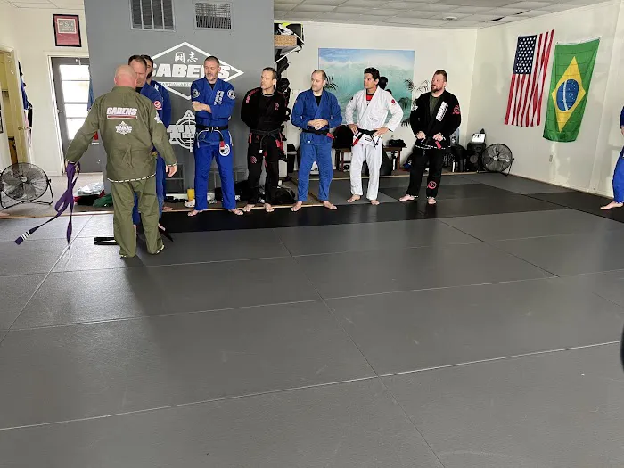 Sabens Martial Arts Academy Picture 1