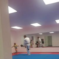 Quest Taekwondo ico