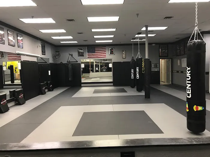 American Legacy Martial Arts LLC Picture 1