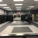 American Legacy Martial Arts LLC