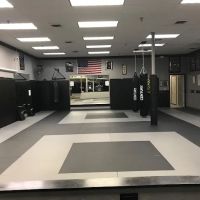American Legacy Martial Arts LLC ico