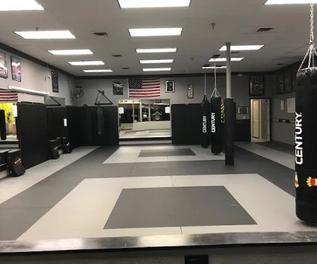 American Legacy Martial Arts LLC