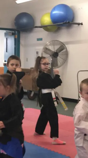 American Martial Arts Systems Picture 9