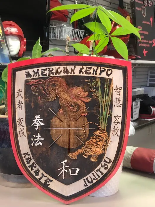 American Martial Arts Systems Picture 7