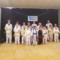 Adamson's Karate Bargersville ico