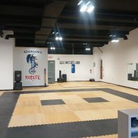 Adamson Karate Bargersville ico