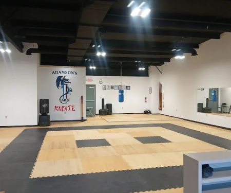 Adamson Karate Bargersville