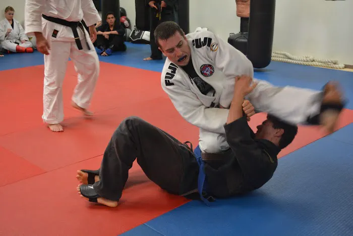 Israeli Martial Arts Academy Westlake Village Picture 7