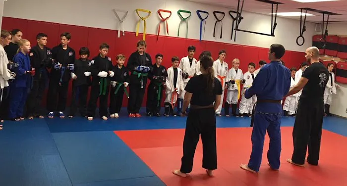 Israeli Martial Arts Academy Westlake Village Picture 8