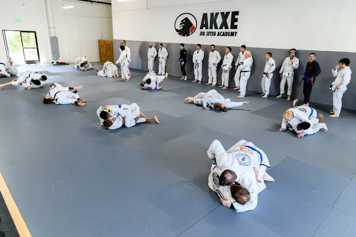 Akxe Jiu Jitsu Academy Picture 6