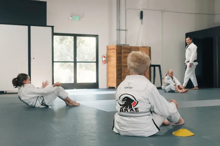 Akxe Jiu Jitsu Academy Picture 2