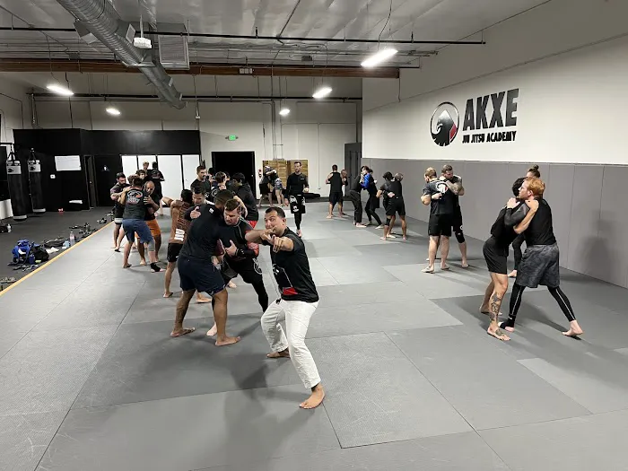 Akxe Jiu Jitsu Academy Picture 10