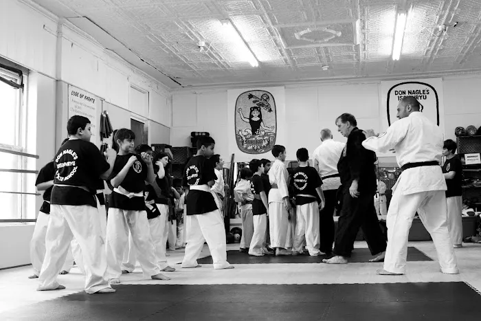 Don Nagle's Isshinryu Karate Picture 3