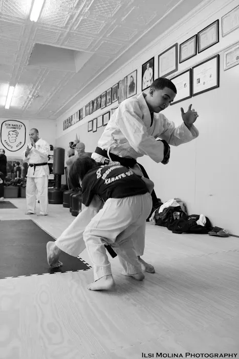 Don Nagle's Isshinryu Karate Picture 2
