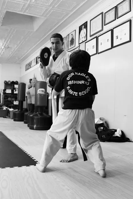 Don Nagle's Isshinryu Karate Picture 1