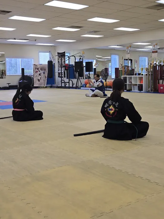 Yim's Tiger Tae Kwon Do Academy Picture 2
