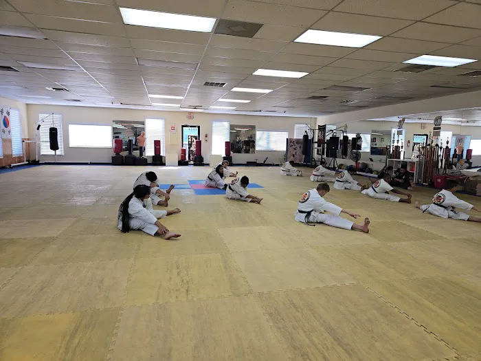 Yim's Tiger Tae Kwon Do Academy Picture 1