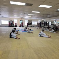 Yim's Tiger Tae Kwon Do Academy ico