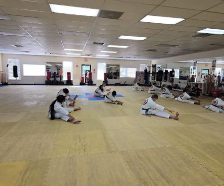 Yim's Tiger Tae Kwon Do Academy