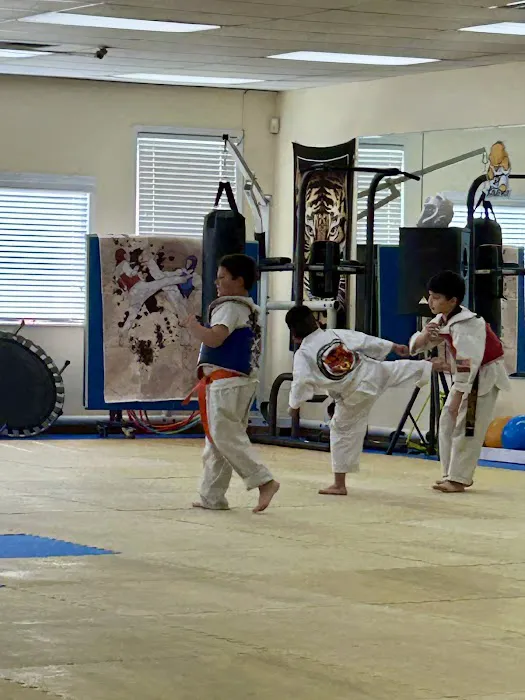 Yim's Tiger Tae Kwon Do Academy Picture 5