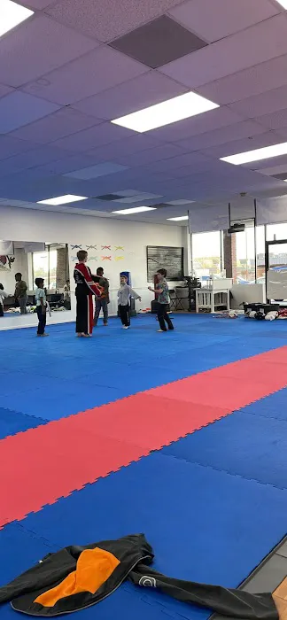 Black Tiger Tae Kwon Do Picture 4