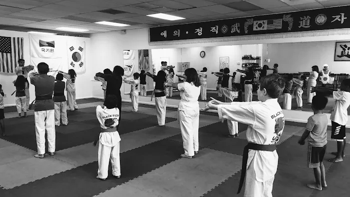 Black Tiger Tae Kwon Do Picture 9