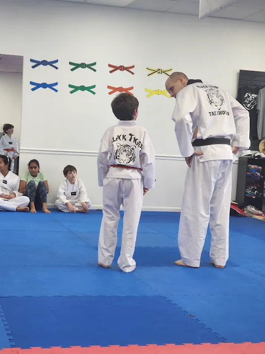 Black Tiger Tae Kwon Do Picture 8